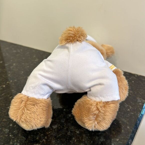 Carnival Breeze Cruise Victory Captain Brown Teddy Bear Plush 10” White Uniform - Picture 7 of 9
